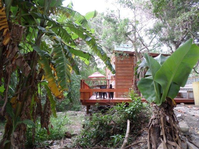 Yellowwood Forest Eco Retreat Morgan's Bay Exterior photo