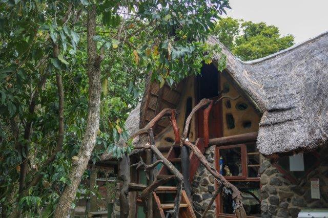Yellowwood Forest Eco Retreat Morgan's Bay Exterior photo