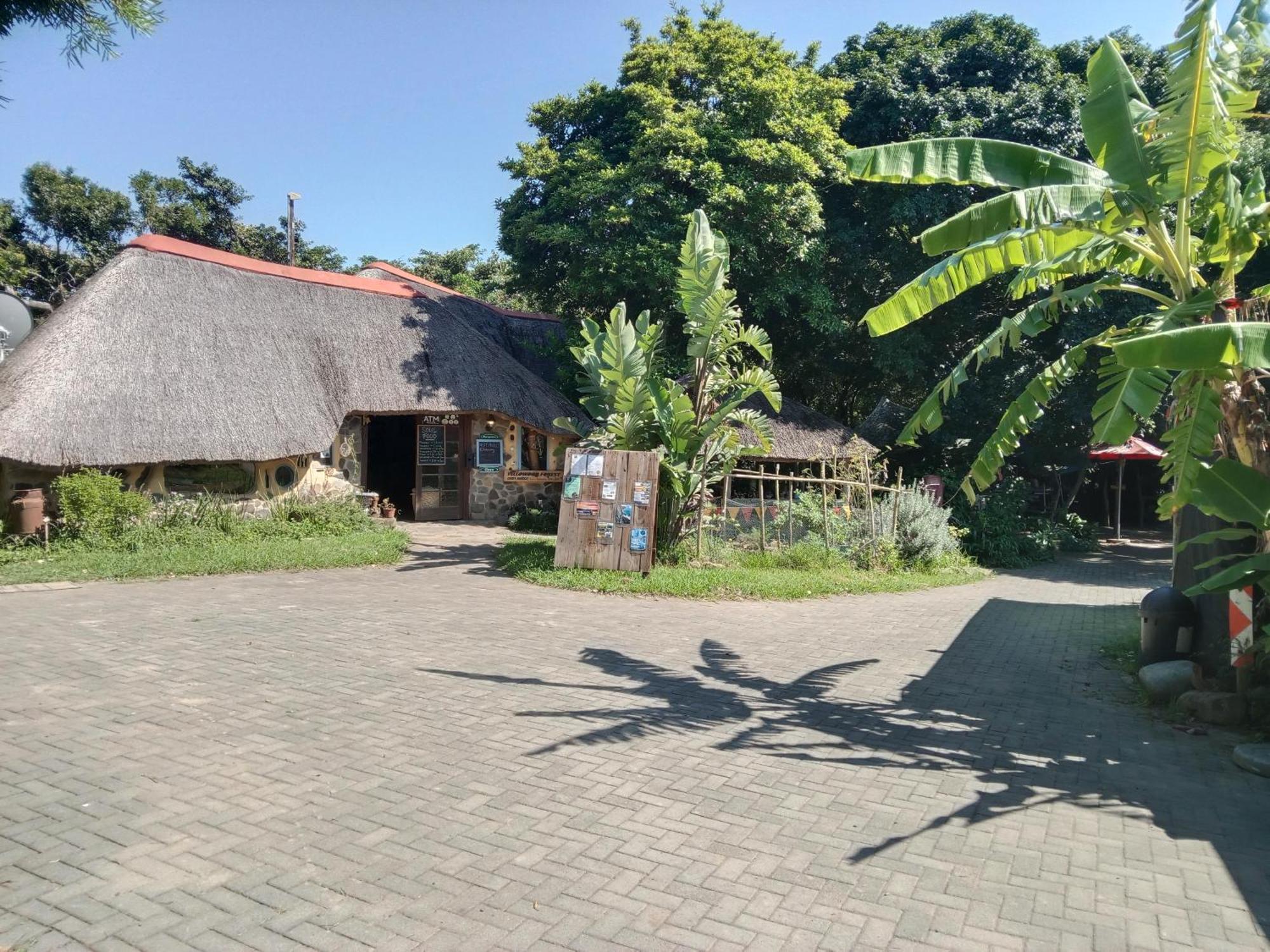 Yellowwood Forest Eco Retreat Morgan's Bay Exterior photo
